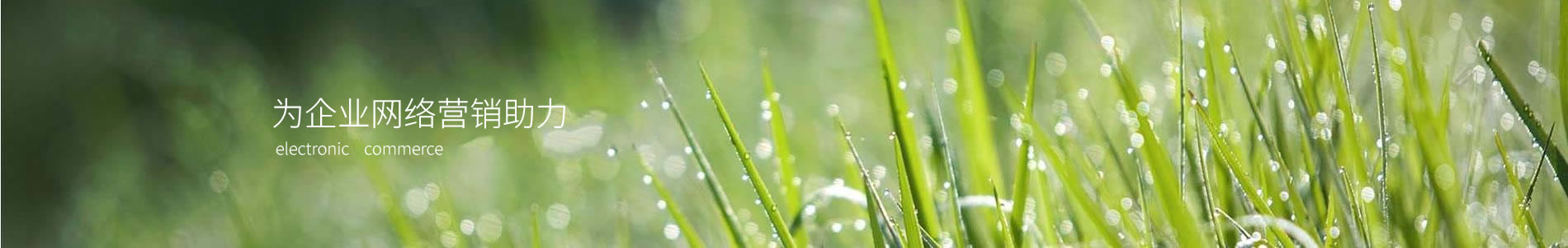 ̩ݽӲƷ޹˾
